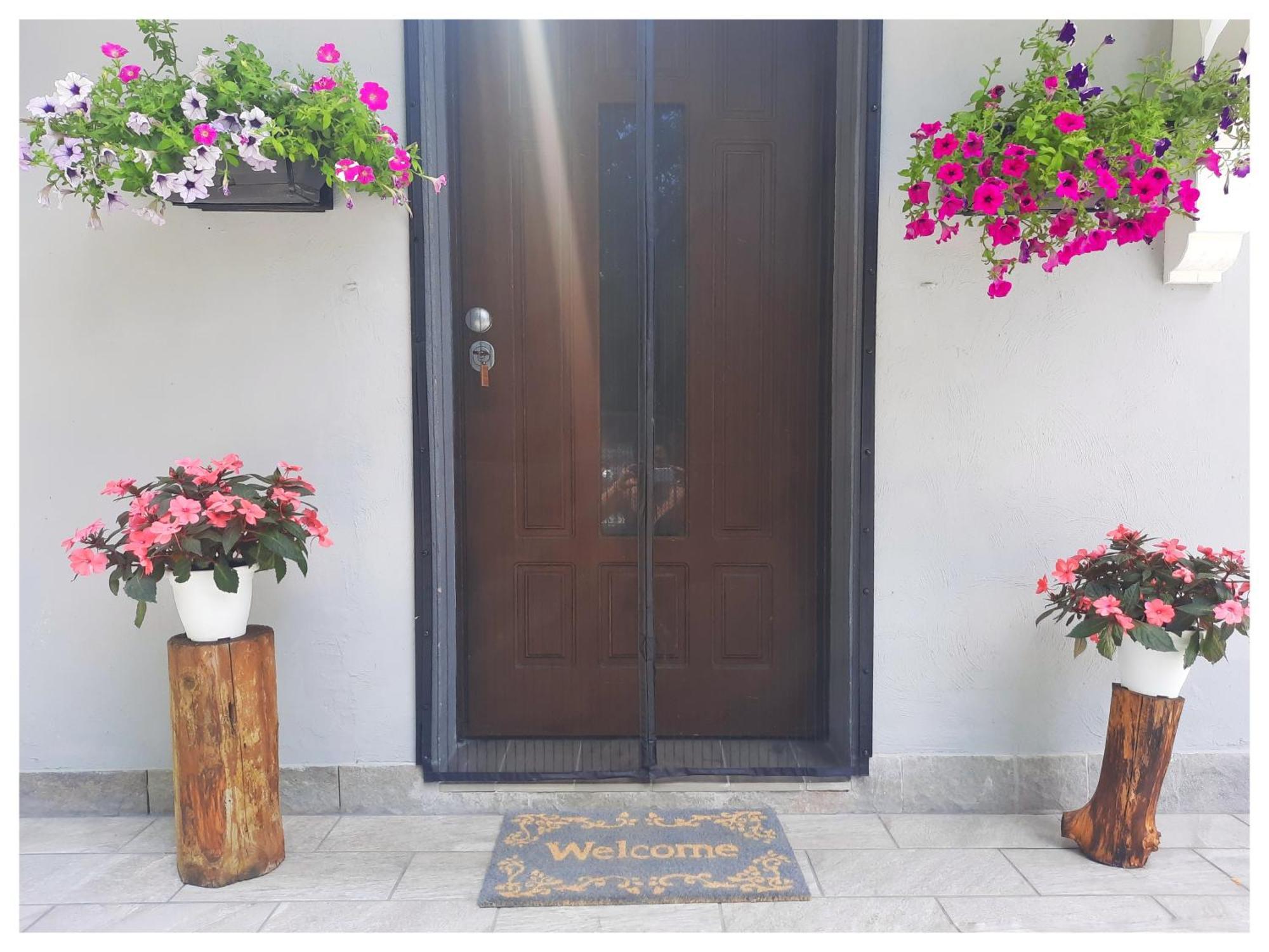 La Casina Bed & Breakfast Trecasali Luaran gambar